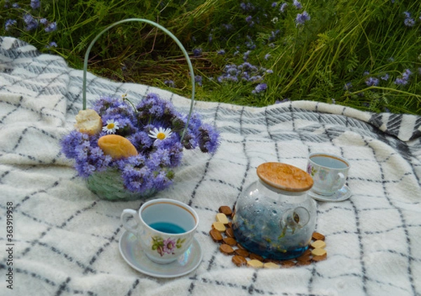 Obraz flowers in a garden