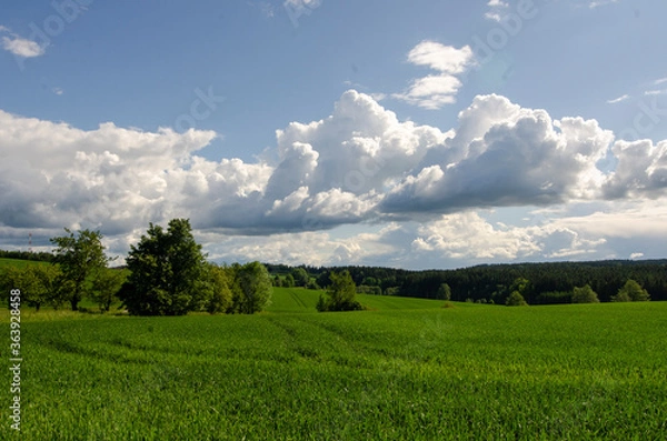 Obraz summer meadow and storm clouds