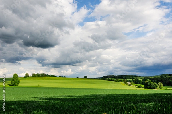 Obraz summer meadow and storm clouds