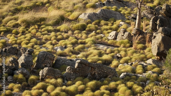 Fototapeta Rocky Landscapes at the Boab Quarry Campsite in the King Leopold Mountain Range in Western Australia.