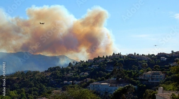 Obraz feux de forets