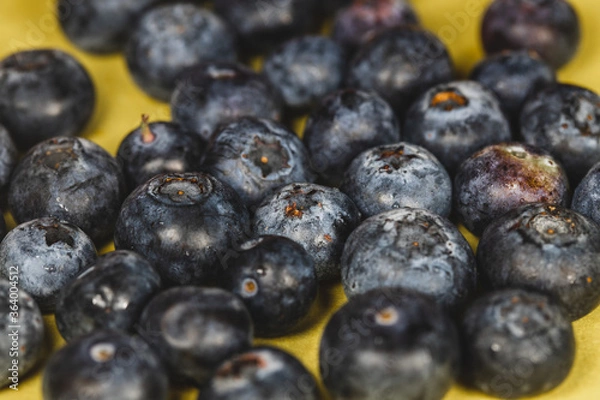 Obraz blueberries close up