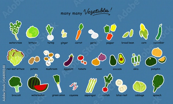 Obraz いろんな野菜のカラーイラストアイコンセット【白フチ】