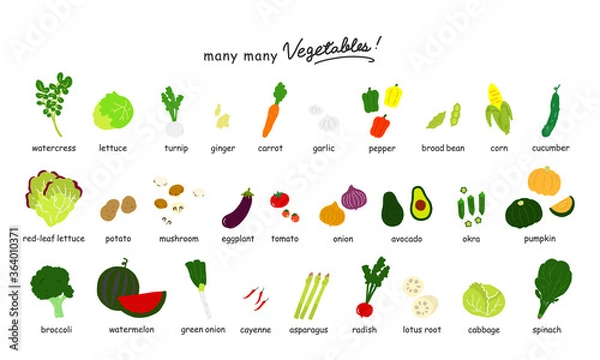 Obraz いろんな野菜のカラーイラストアイコン【白背景】