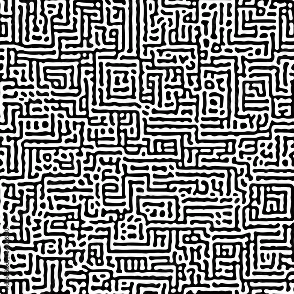 Fototapeta Intricate geometric Turing pattern in classic black and white seamless pattern vector backgroun