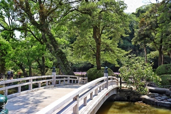 Obraz bridge over the river