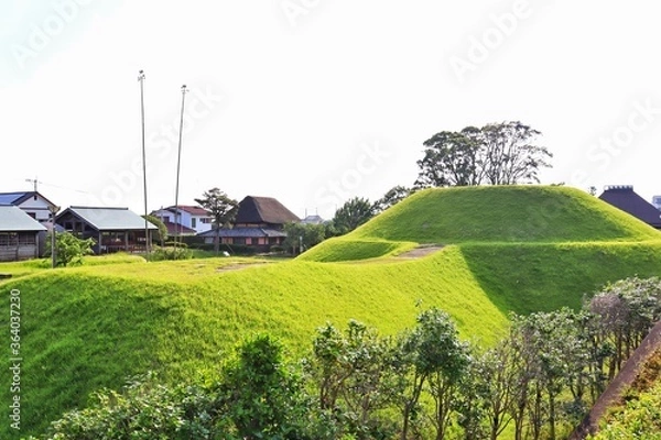 Obraz landscape with green fields