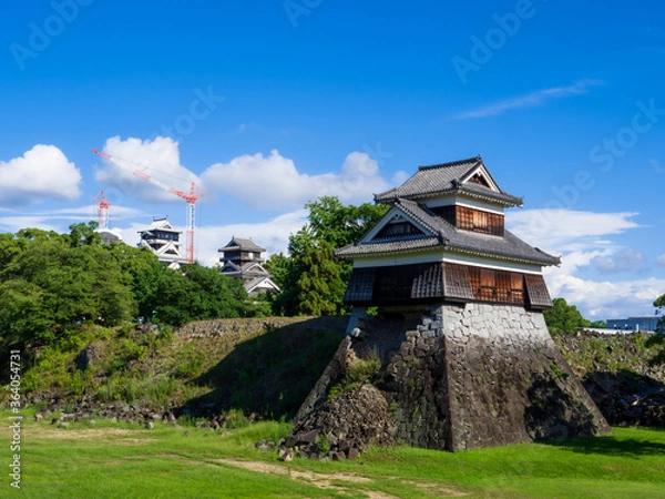 Fototapeta 熊本城