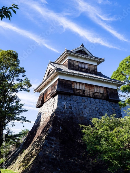 Obraz 熊本城未申櫓