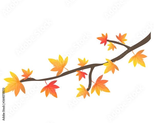 Fototapeta 紅葉のイラスト　楓　木