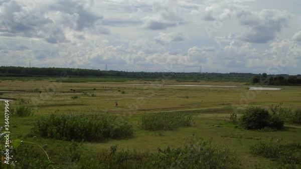 Fototapeta landscape with clouds and sky
