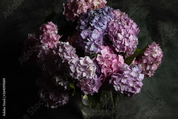 Obraz pink and blue hydrangea on the dark background