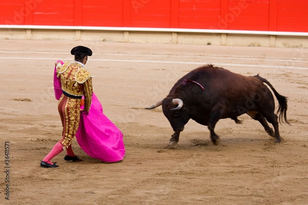 Obraz Bullfighting