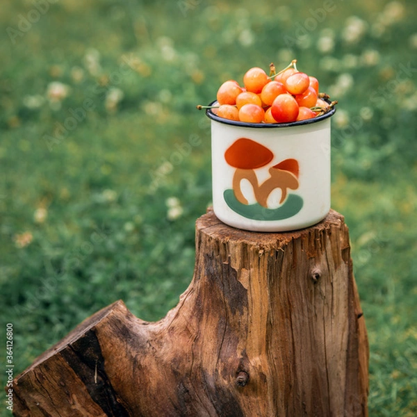 Fototapeta Fresh yellow cherries in a white mug on wooden texture on a green grass background in the garden. Selective focus. The concept of gardening.