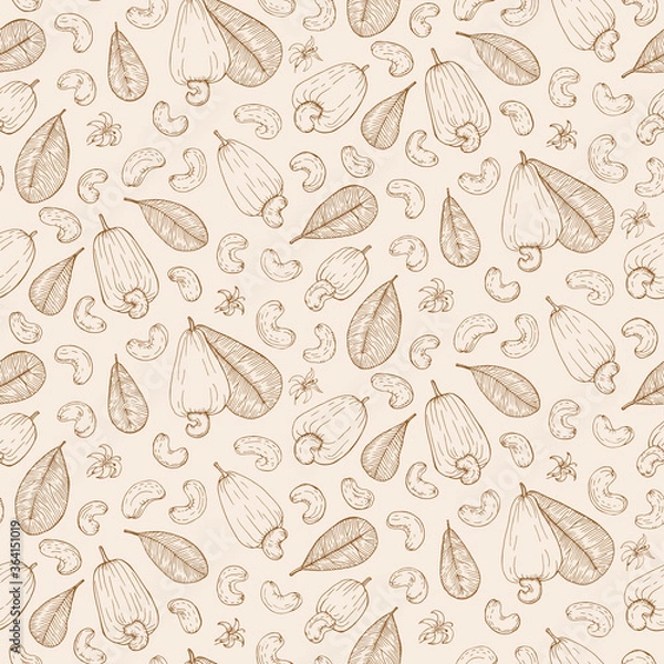 Fototapeta Cashew nut seed plant pattern. Hand drawn style. Retro vintage graphic design. Detailed botanical vector sketch for Organic Food, cosmetics component