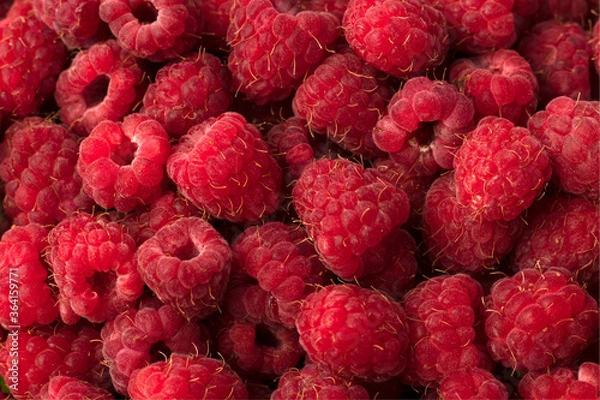 Fototapeta fresh natural ripe raspberries in a loose form top view