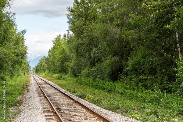 Fototapeta a rail road right across the forested area with dense green trees and bushes on both sides under cloudy sky