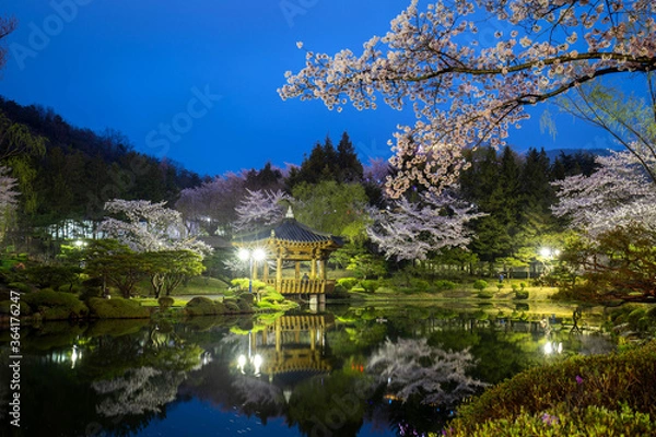 Fototapeta lake night