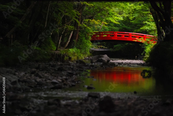 Obraz 新緑に包まれた日本の赤い橋
