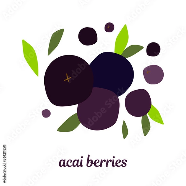 Obraz illustration with acai berries and leaves. modern abstract design for packaging, print for clothes, fabric