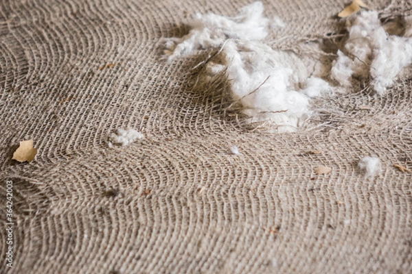 Fototapeta cotton bag slice