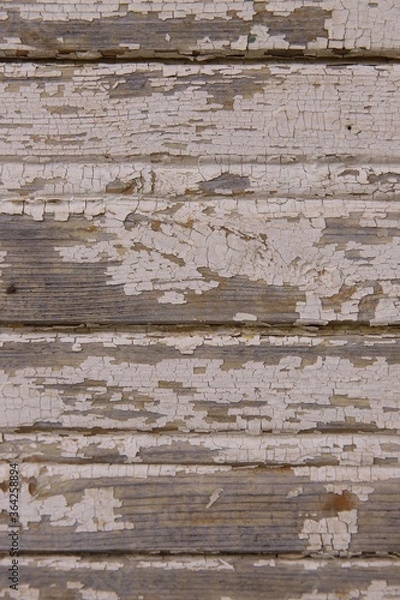 Obraz old wood texture