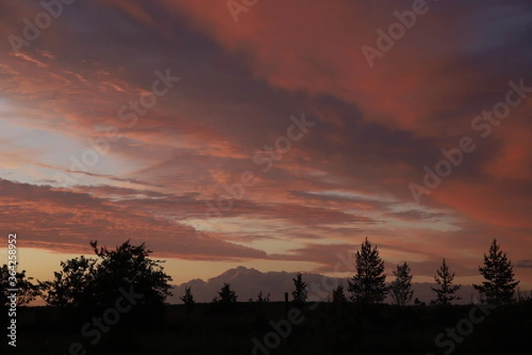 Obraz sunset in the desert