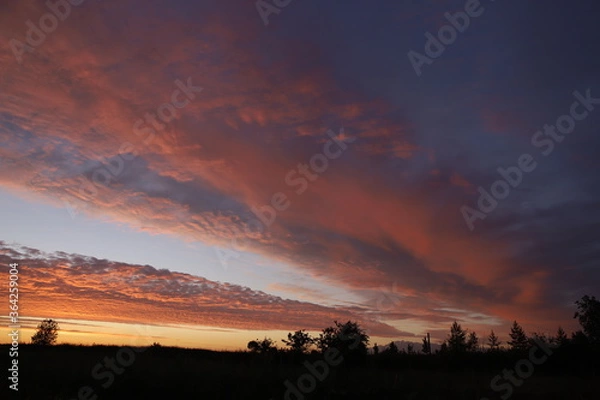 Obraz sunset in the city