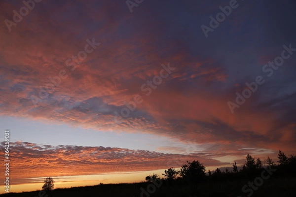 Obraz sunset at the beach