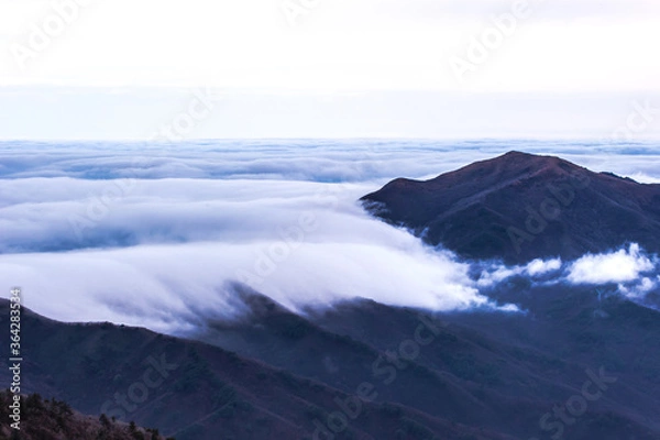 Fototapeta Beautiful sea of clouds at dawn on the top of the mountain.