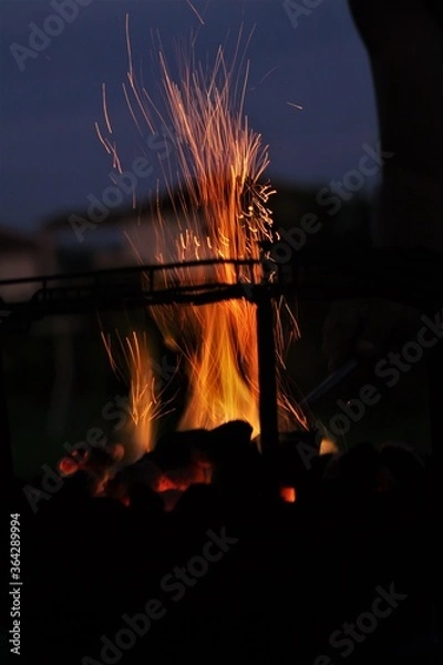 Obraz Bonfire at night