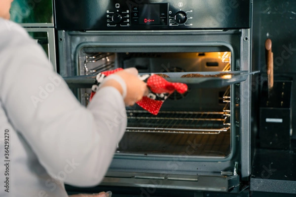 Obraz Chocolate chip cookie