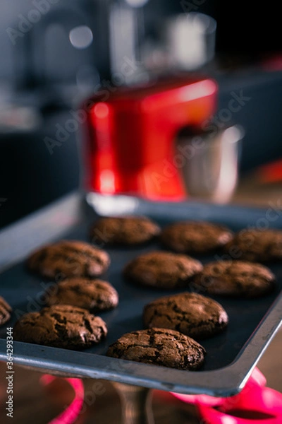 Obraz Chocolate chip cookie