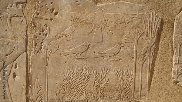 Fototapeta The Botanical Chamber, the Temple of Karnak hieroglyphic of exotic plants and birds on wall