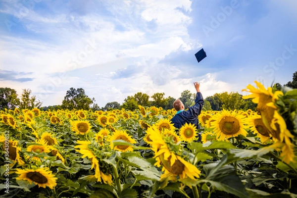 Obraz Sunflower Grad