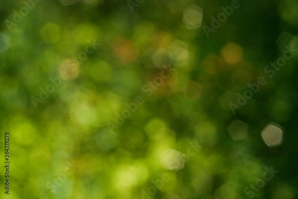 Obraz green abstract nature background