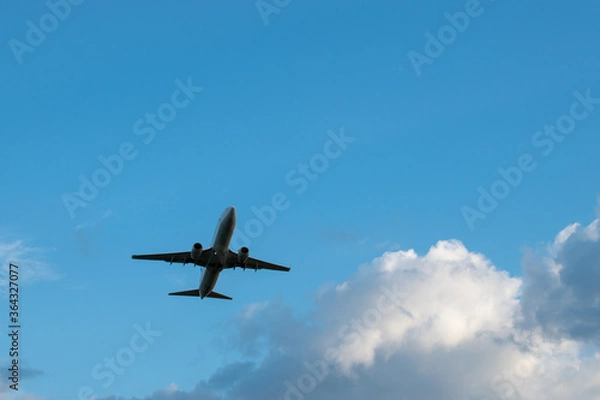 Obraz airplane in the sky