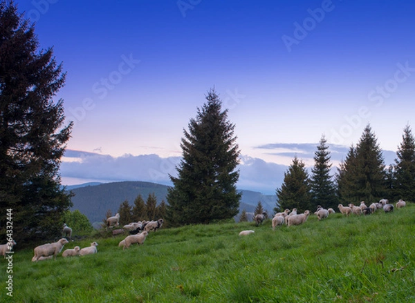 Fototapeta Polish mountains, mountain lamdscape,