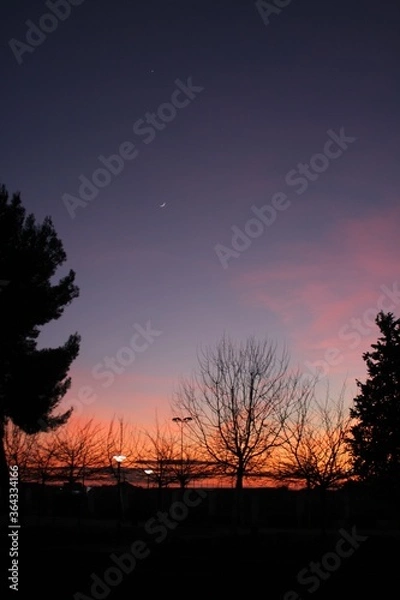 Obraz atardecer parque
