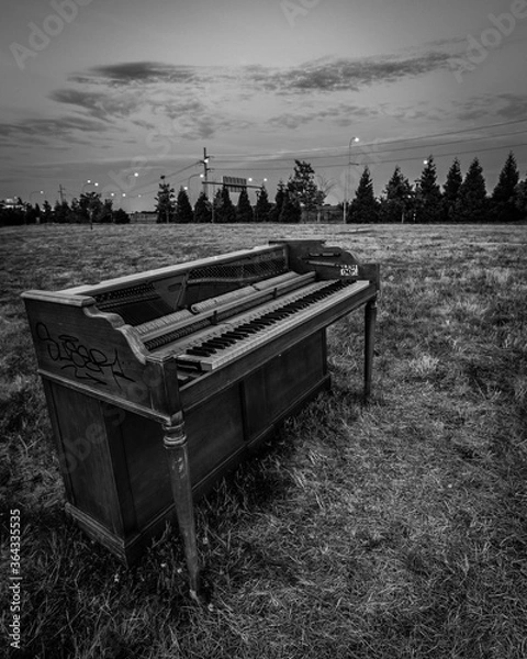 Obraz bench in the park