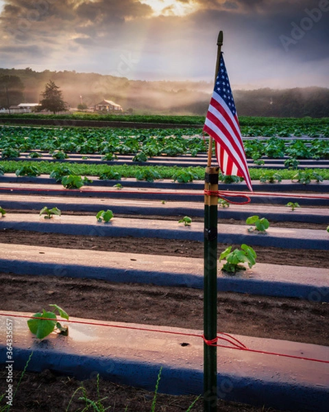 Obraz american flag on the beach