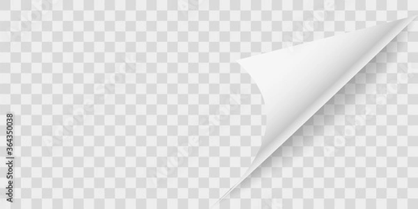 Obraz Curled page.Curled flip peel page on transparent background . Vector icon .