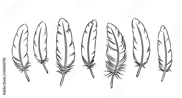 Fototapeta Outline feathers set