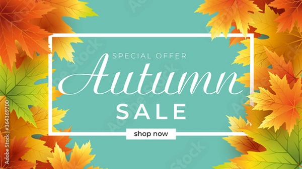 Fototapeta Autumn sale background layout decorate with leaves for shopping sale or promo poster and frame leaflet or web banner.Vector illustration template.