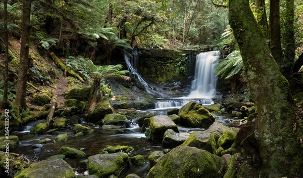 Obraz Waterfall with cascading stream in pristine rainforest, Tasmania.