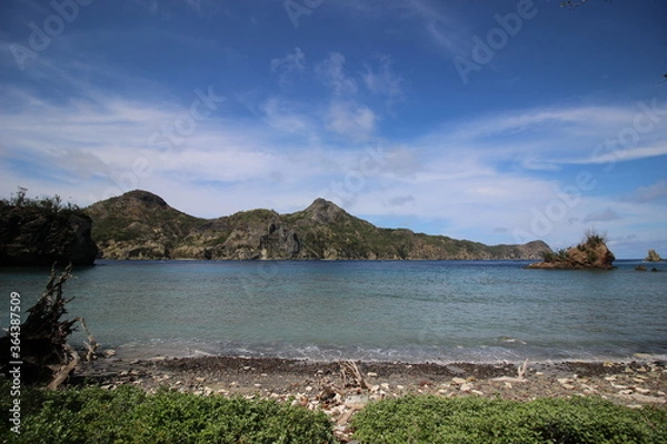 Obraz 釣浜から望む兄島