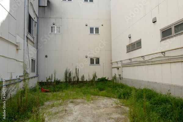 Fototapeta 空き地