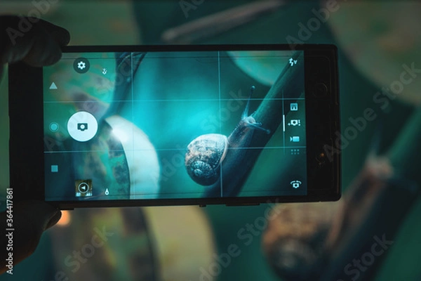 Obraz Schnecke / Smart Phone