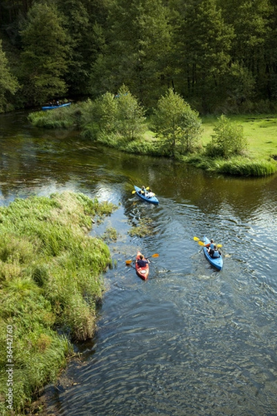 Obraz canoeing trip