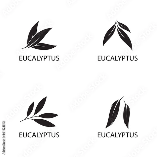 Obraz Eucalyptus leaves logo vector template design